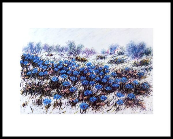 TA 23.40.208 Distesa Fiorita